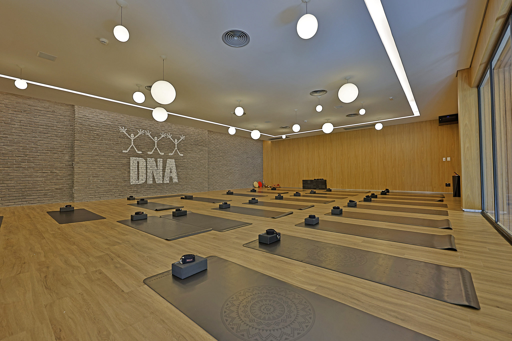 DNA Experience — fotografia 19